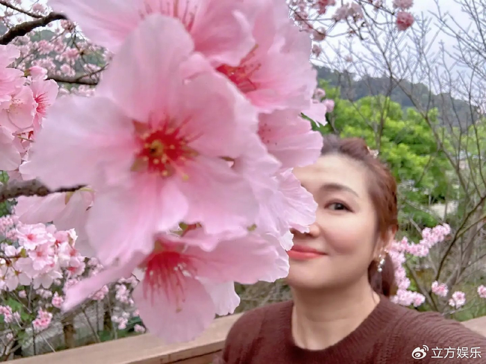 任家萱晒一家三口赏花自拍 公布宝宝已经71公分高