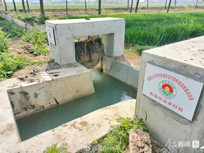 咸阳市乾县高标准农田灌溉渠无水源:用企业废水浇地存隐患(图3)