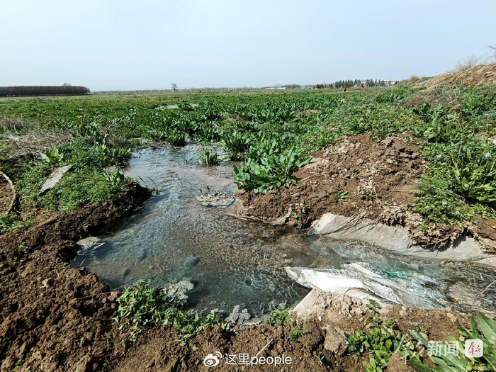 咸阳市乾县高标准农田灌溉渠无水源:用企业废水浇地存隐患(图2)