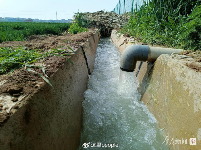 咸阳市乾县高标准农田灌溉渠无水源:用企业废水浇地存隐患(图5)