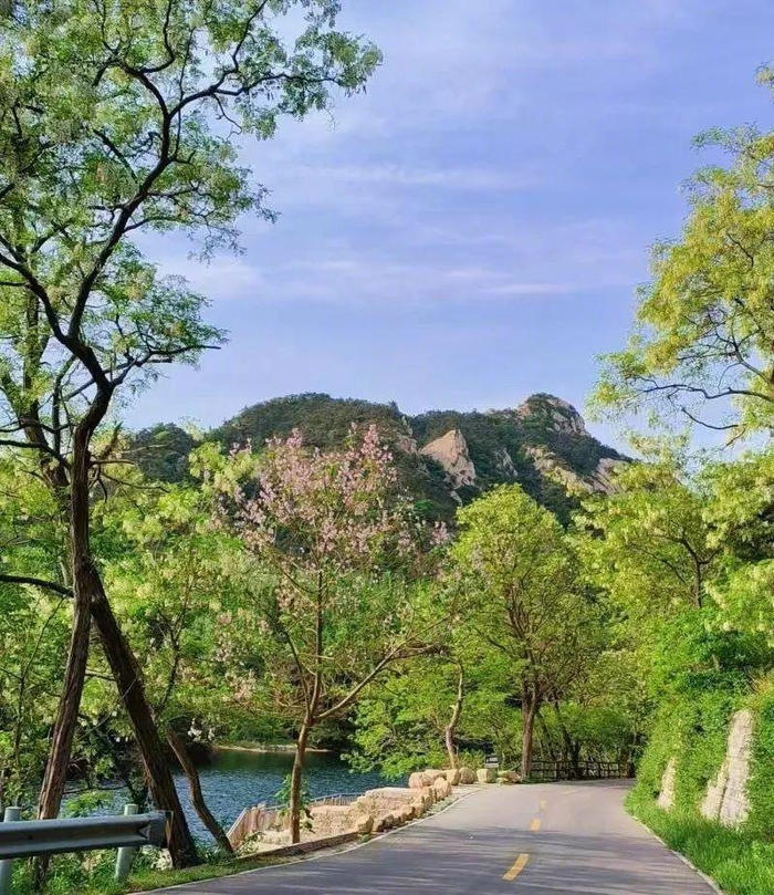月老祠等为确保不会错过这一年一度的自然盛宴,建议关注"昆嵛山国家