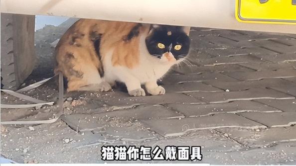 轻松一刻：你是不是什么都懂，但是就是走不出来？