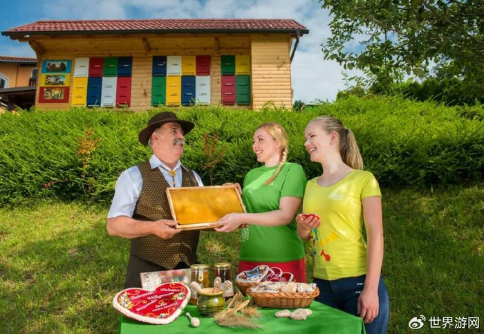 世界蜜蜂日 | 去斯洛文尼亚探访蜜蜂的"甜蜜事业"