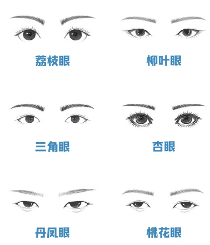 人物五官怎么画?最全五官画法详细教程!看这一篇就够了!|动漫|耳朵|小编|眼睛|鼻子_新浪新闻