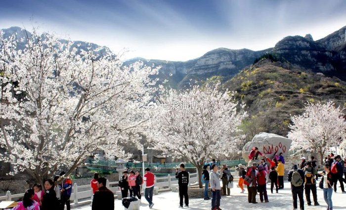 "快进慢游"!淄博要新改建300公里风景道,串联起这些a级景区