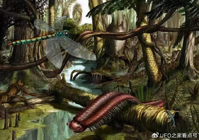 氧含量高达35%,恐龙都没机会出|石炭纪|昆虫|恐龙_新浪新闻