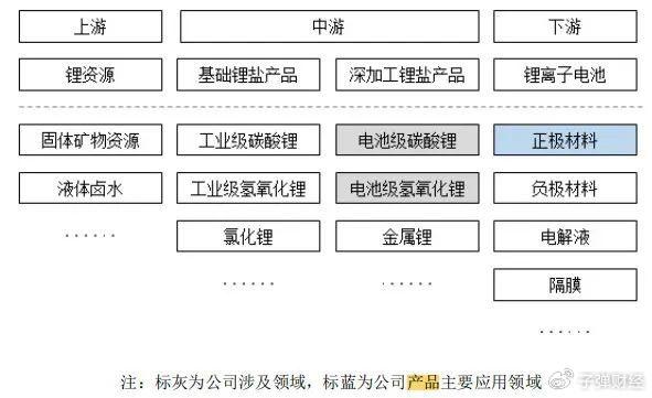 智慧树母公司再战IPO：创始人之子突击入股，股东却“割肉”撤退