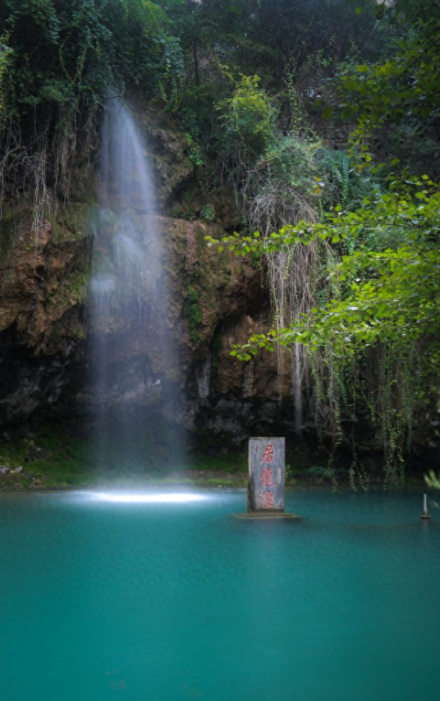 在淄博采摘季节限定的"维c小炸弹"|小红书|猕猴桃|博山_新浪新闻