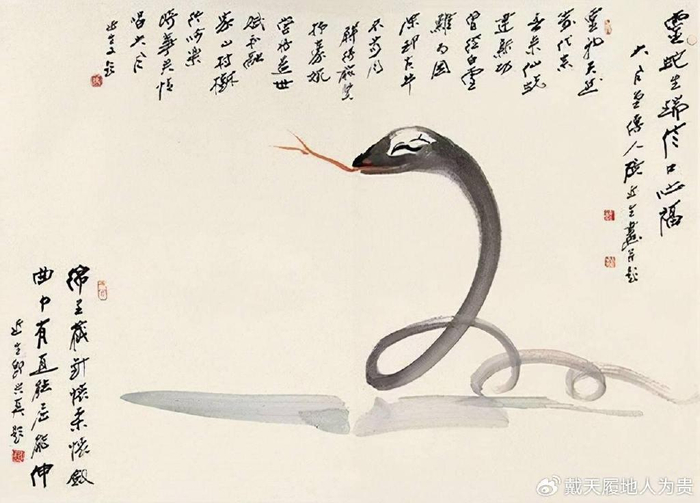 肖蛇,2024年小满节气:财运,事业运,感情运分析!