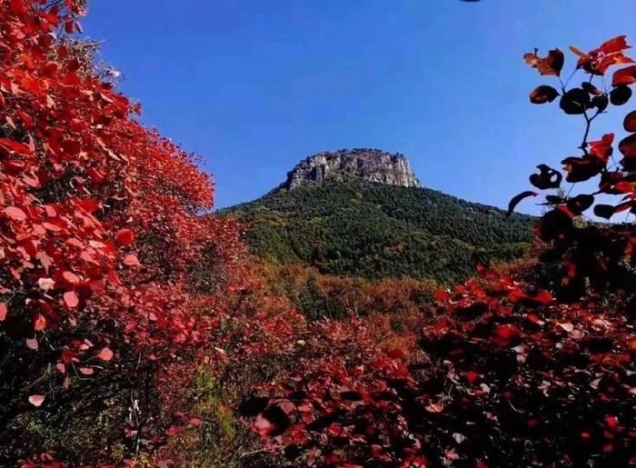 暢遊齊魯縣在出發去山亭