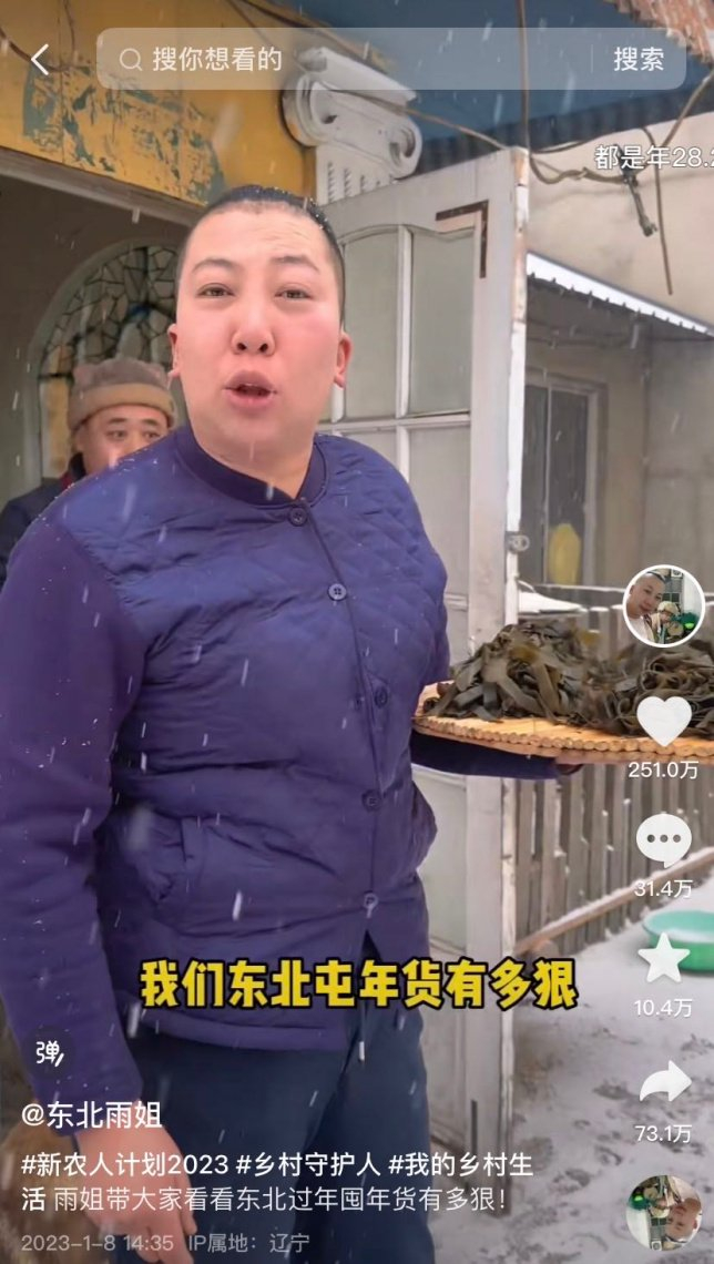 东北雨姐,李子柒的"另一面"|李子柒_新浪新闻