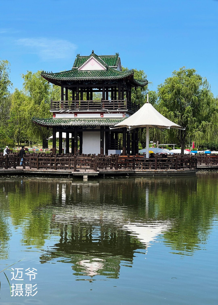 游顺义国际鲜花港-手机原创摄影