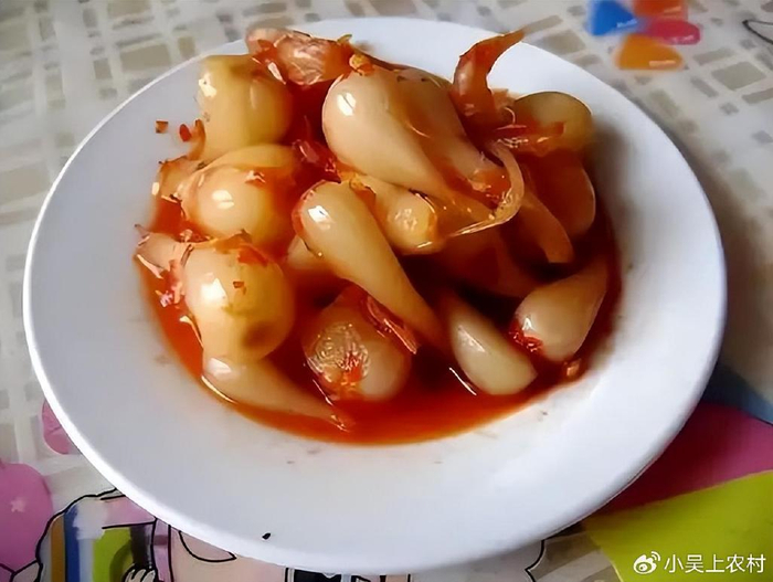 藠头,称为懒人蔬菜,随便丢几颗在地里就有得吃,做腌菜最下饭