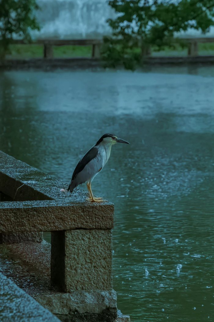 溪窗一灯照我卧听清雨成眠
