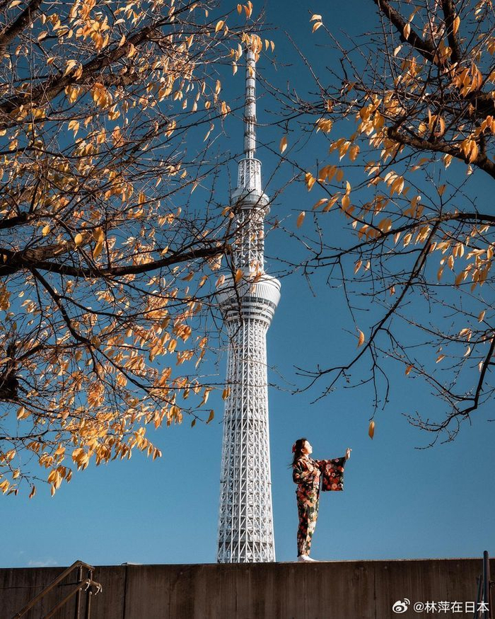 仿佛回到日本古代