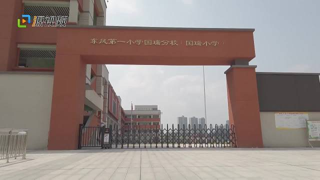国瑞小学开展地质科普知识进校园活动