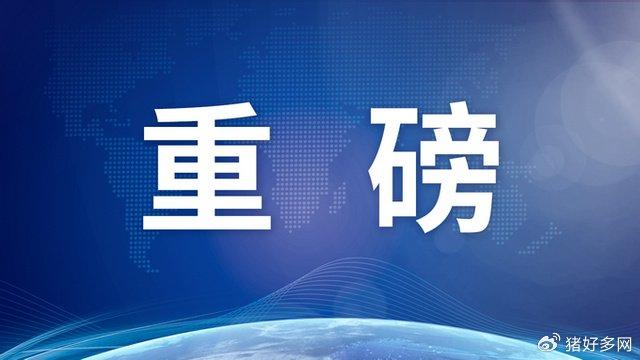 未来10年，我国猪肉产量负增长？全球生猪产业发展报告解读！