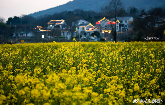 极美南京阳春三月只为花忙三月追花佘村油菜花南京江宁佘村