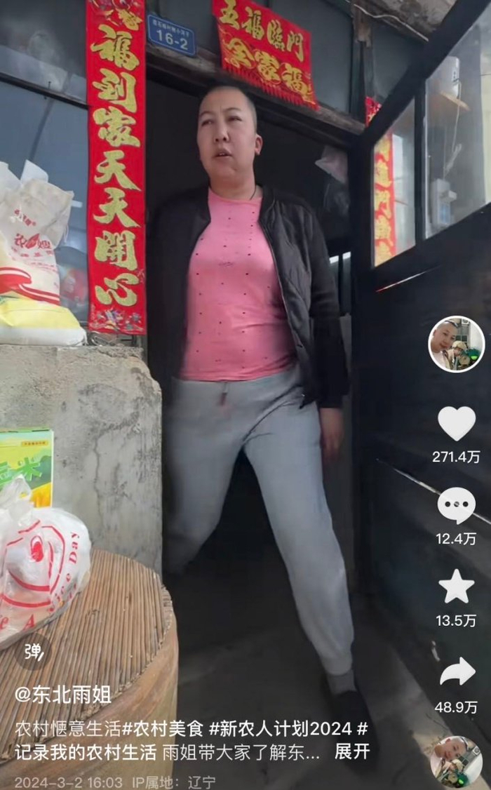 东北雨姐,李子柒的"另一面"|李子柒_新浪新闻