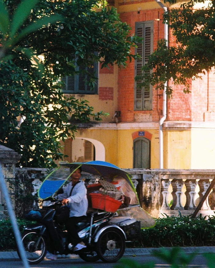 黄昏里的越南顺化,余晖和绿荫共游城市, photo by mo0108t xanh