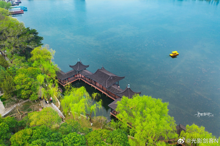 极美南京海棠摇曳春色正浓第四十一届莫愁湖海棠花会如约而至