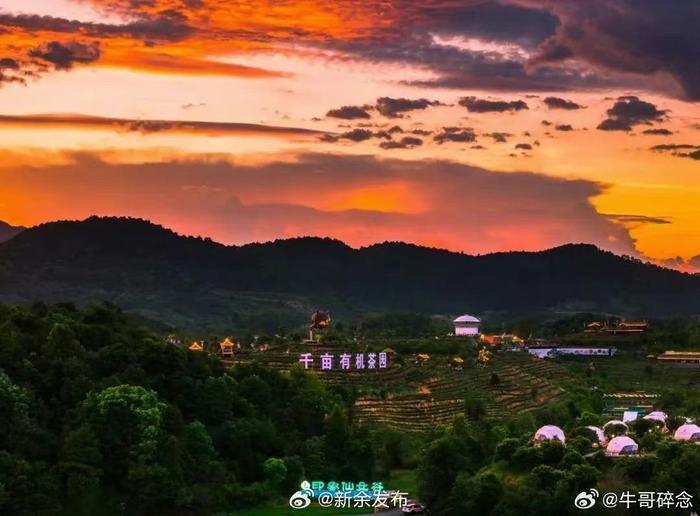 新余下保村花海门票图片