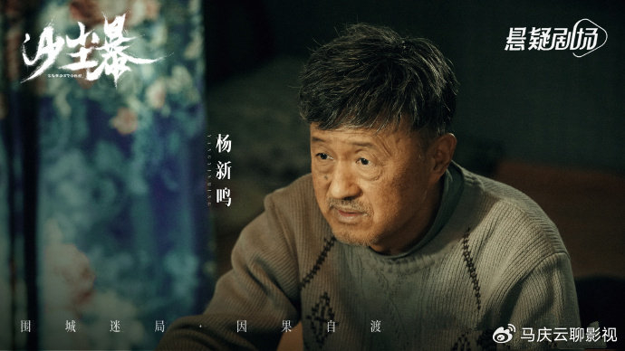 这种土掉渣的风格,加持到《沙尘暴》这部电视剧作品当中,应该会在影像