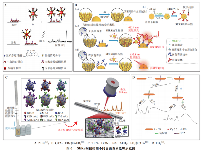 江苏大学郭志明教授,荣雅文博士等:食品中常见真菌