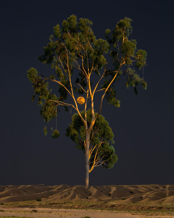 奇幻风景kangheekim