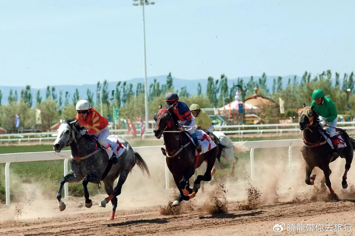 来自北京,河北,新疆等全国各地赛马俱乐部名下近200匹精英赛驱已陆续