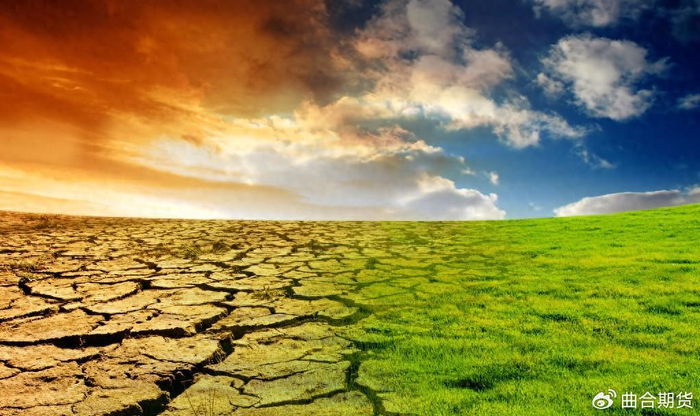 干旱天气将有利于阿根廷大豆和玉米的收获