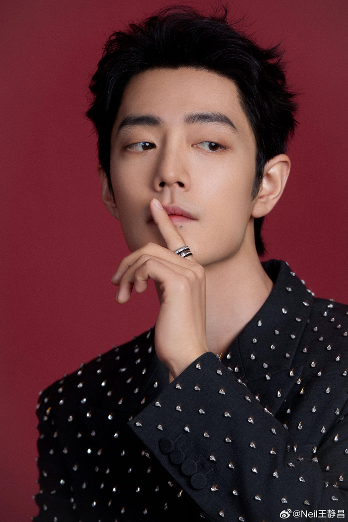 肖战今日出席的造型穿了一套黑色西服点缀满闪亮的钻石