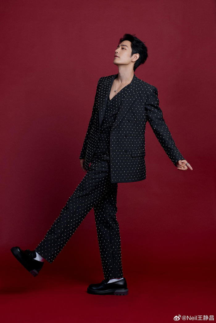 肖战今日出席的造型穿了一套黑色西服点缀满闪亮的钻石