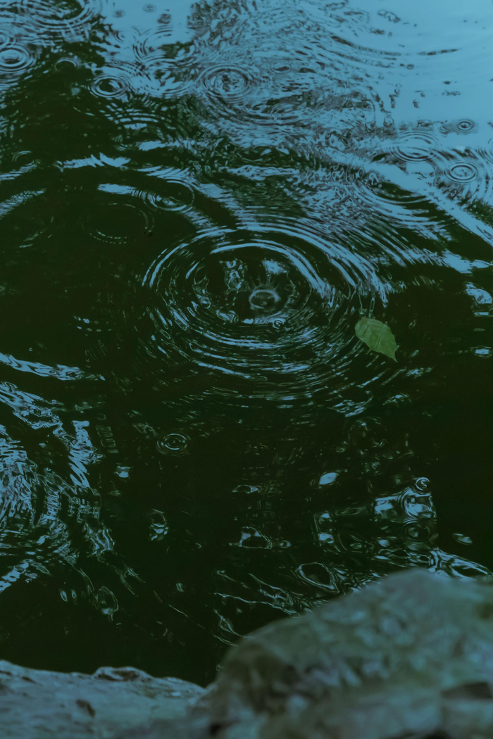 溪窗一灯照我卧听清雨成眠