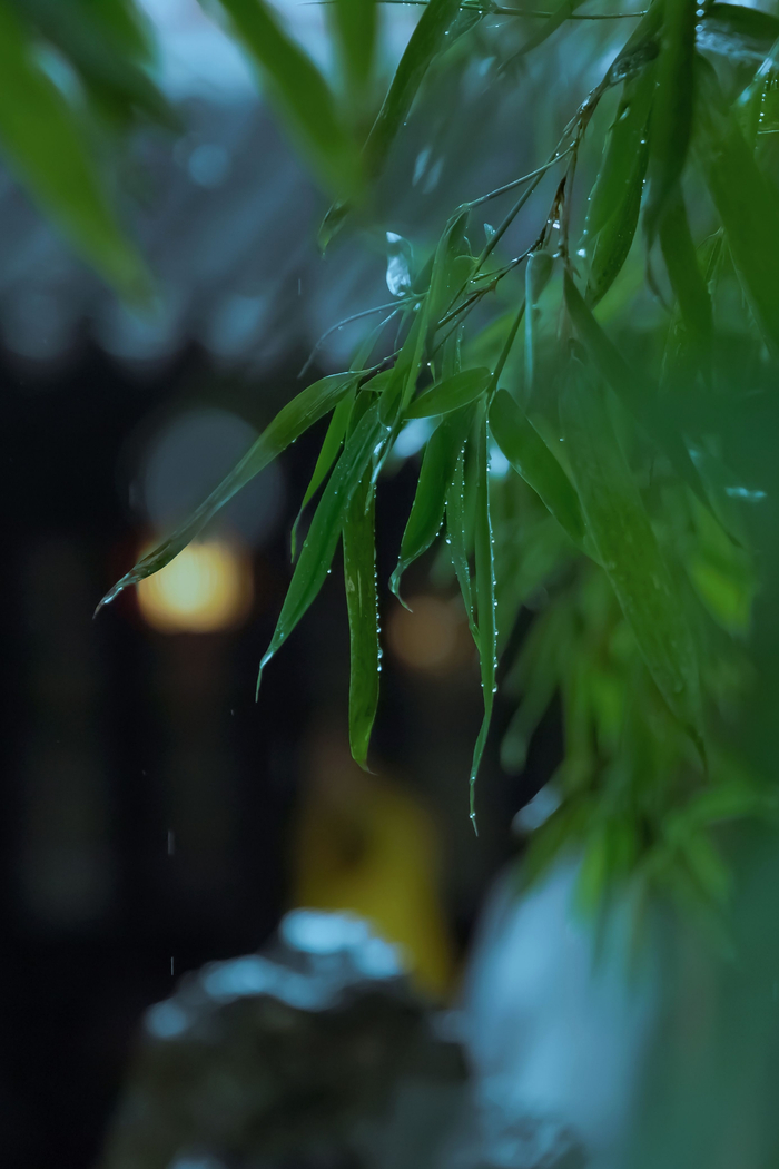溪窗一灯照我卧听清雨成眠