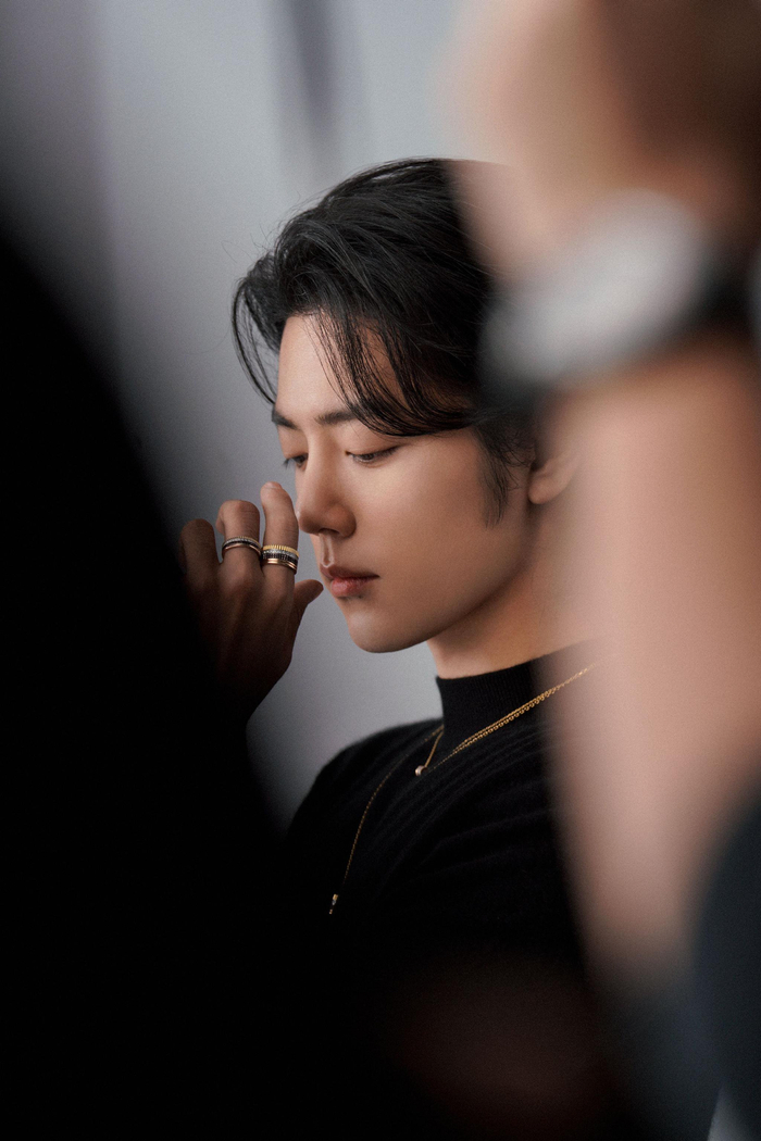 高挺的鼻梁优越的下颌线迷人的眼神肖战颜值真的