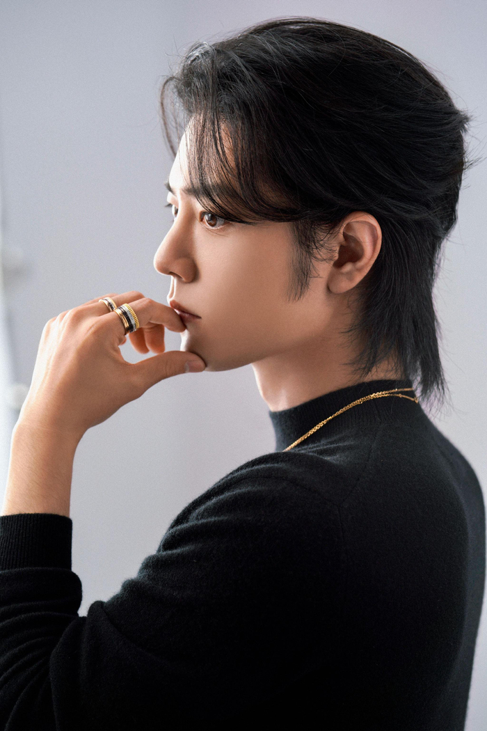 高挺的鼻梁优越的下颌线迷人的眼神肖战颜值真的