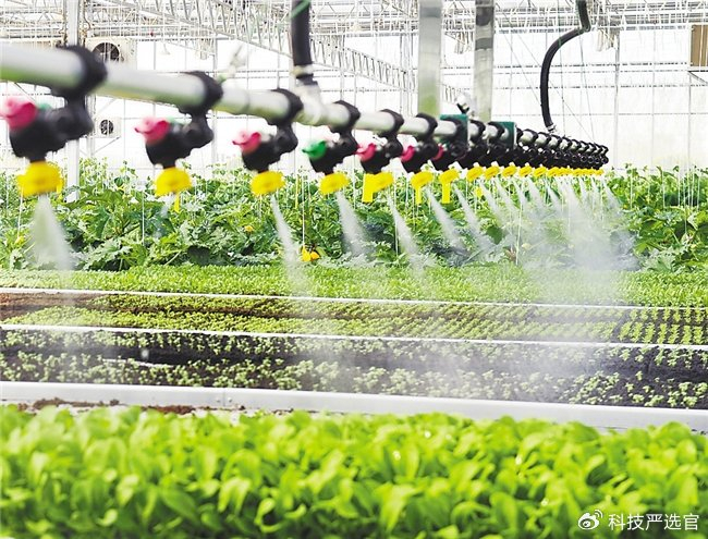 现代农业.手机 科技铸造精品农业