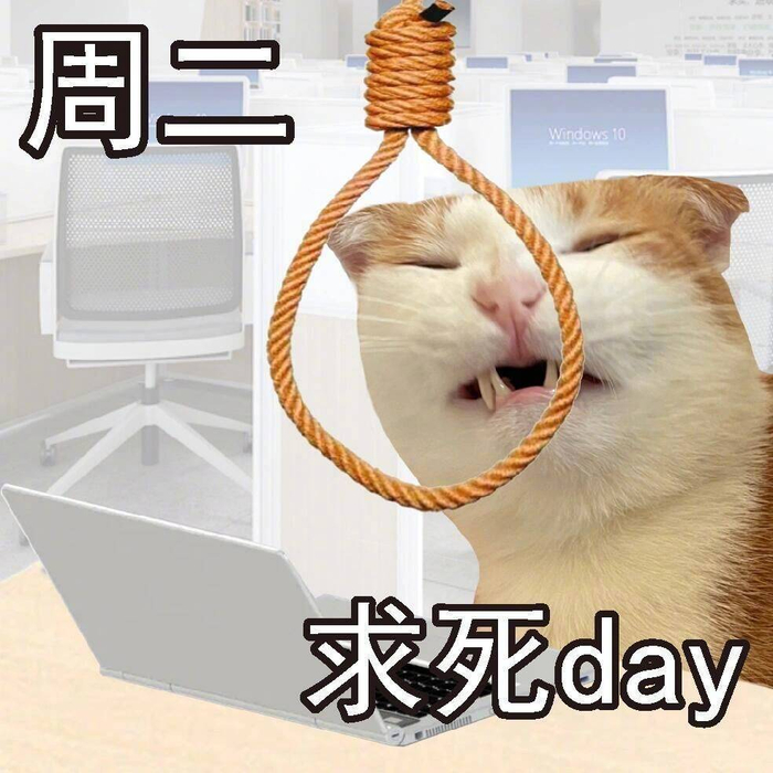 中国人有自己的星期谐音梗半半仙的橘宝