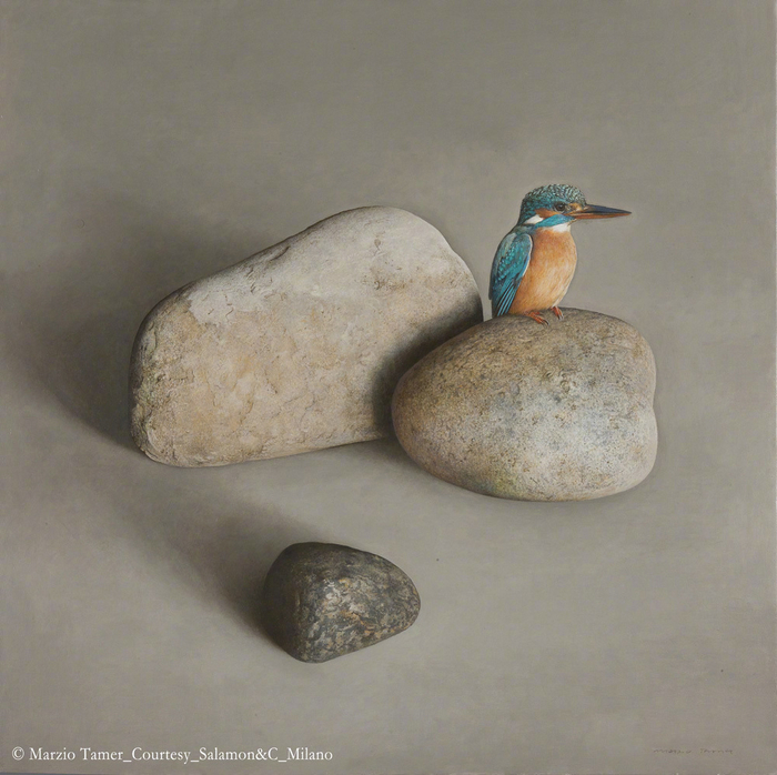 画家 marzio tamer 动物绘画作品 | www.jonathancooper.co.