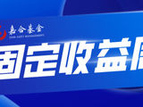 【嘉合基金固收周报】风险资产调整，债券市场顺势走强