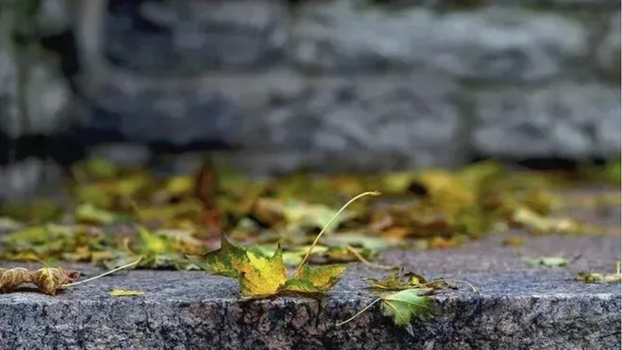 原创|为什么尽量不要让别人知道你的状态