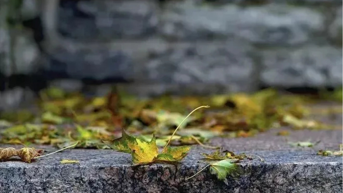 原创|报复一个人，最好的方式，其实就1个字