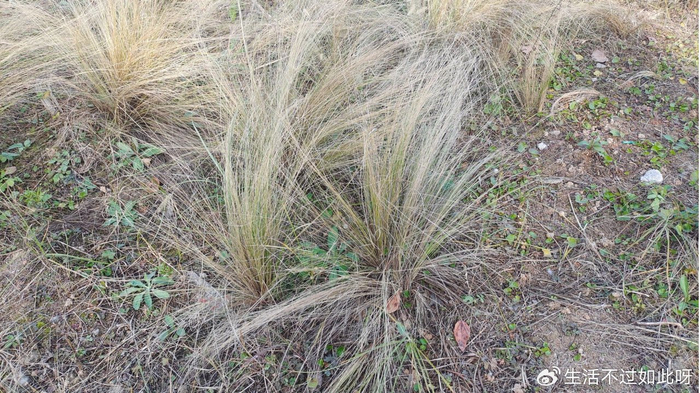 人到晚年，别去这四个人家里，特别是最后一个人家里，不是迷信！