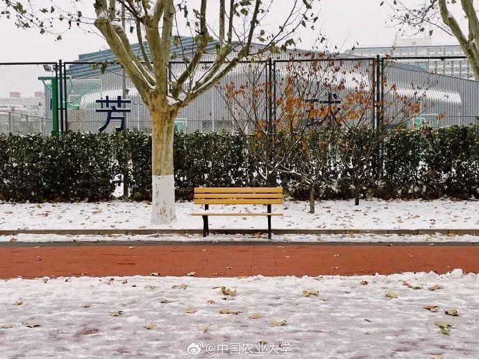 内蒙古民族大学雪景图片