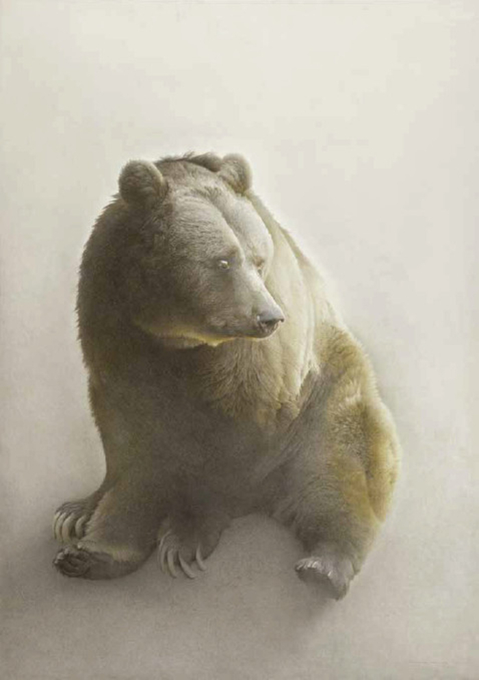 画家 marzio tamer 动物绘画作品 | www.jonathancooper.co.