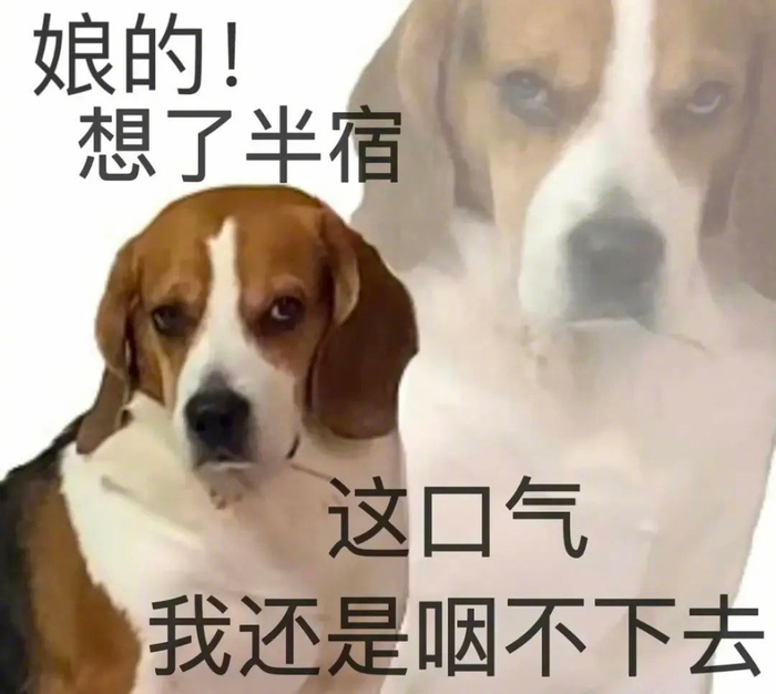超有气质的表情包 拿图请顺便吱一声 很难有动力发图了