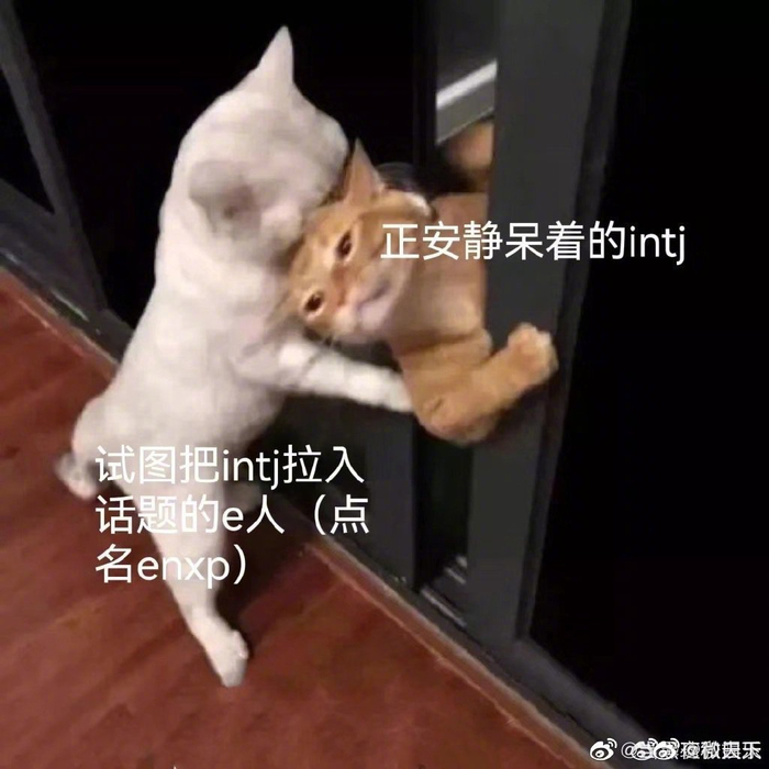 如何正确分辨i人和e人