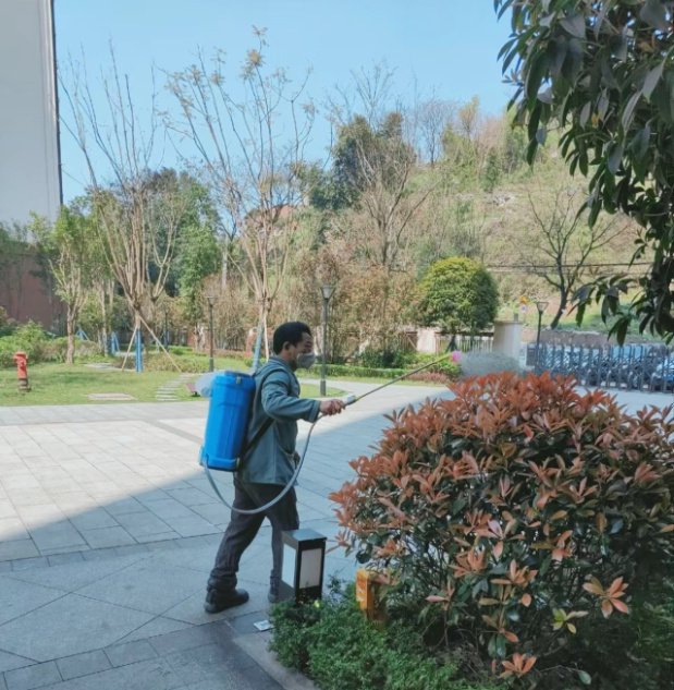万盛北城美地小区在绿化消杀方面,采取了积极有效的措施