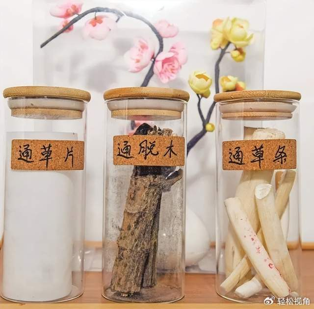 安徽芜湖通草画:绽放非遗之美,传承千年匠心|芜湖市|安徽省|毛艺涛|作品|技艺_新浪新闻